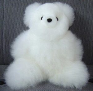 Soft plush bear sitting upright