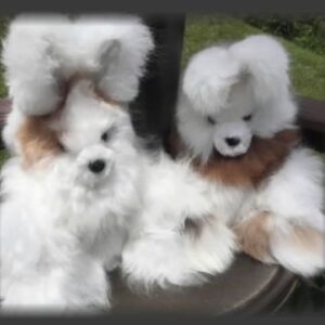 Fluffy white stuffed animals on a bench
