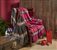 A cozy red armchair with a gray blanket and a book on it.