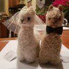 Two knitted llama dolls sitting side by side on a wooden table.