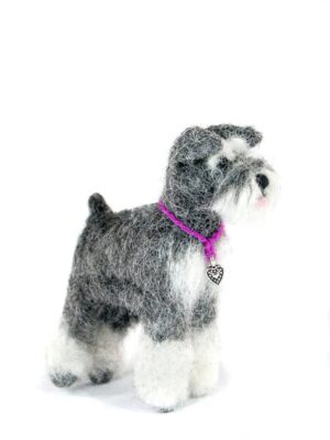 A small gray and white dog wearing a pink collar.