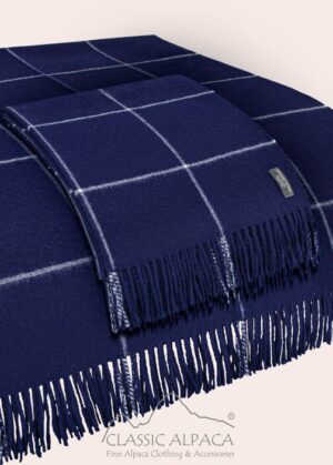 Close-up of a navy blue plaid scarf with fringed edges.